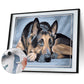 Dog Canvas Acrylic Color Drawing Wall Art Living Room Home Decor