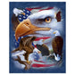 5D Diy Diamond Painting Kit Full Round Beads Eagle