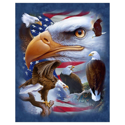 5D Diy Diamond Painting Kit Full Round Beads Eagle