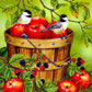 5D Diy Diamond Painting Kit Full Round Beads Fruits and Birds