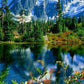 Scenery | Full Round/Square Diamond Painting Kits 50x70cm 60x80cm E