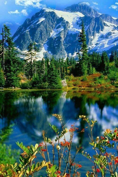 Scenery | Full Round/Square Diamond Painting Kits 50x70cm 60x80cm E
