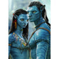 11ct Stamped Cross Stitch - Avatar (40*56cm)