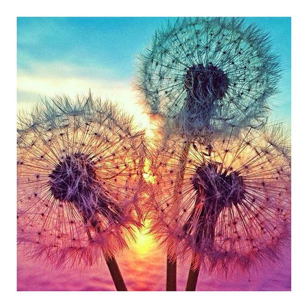 5D Diy Diamond Painting Kit Full Round Beads Dandelion