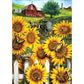 11ct Stamped Cross Stitch Garden Sunflower