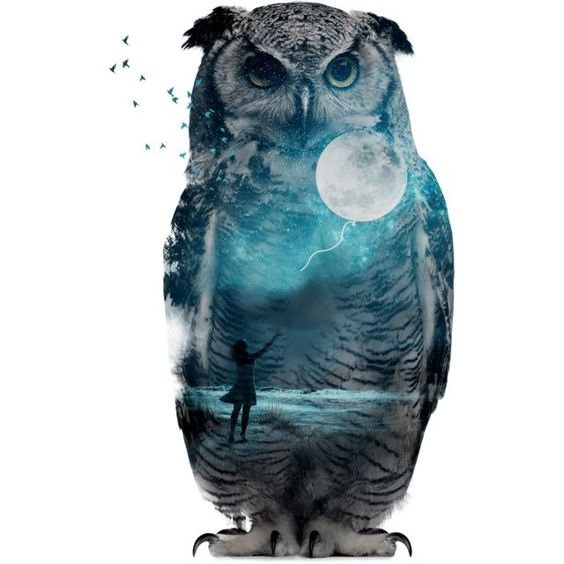 diamond painting art owl nature scenery