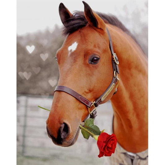 Rose Horse Coded Abstract Acrylic Oil Paint by Numbers Adults Children Gifts