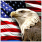 5D Diy Diamond Painting Kit Full Round Beads Eagle (40*40cm)