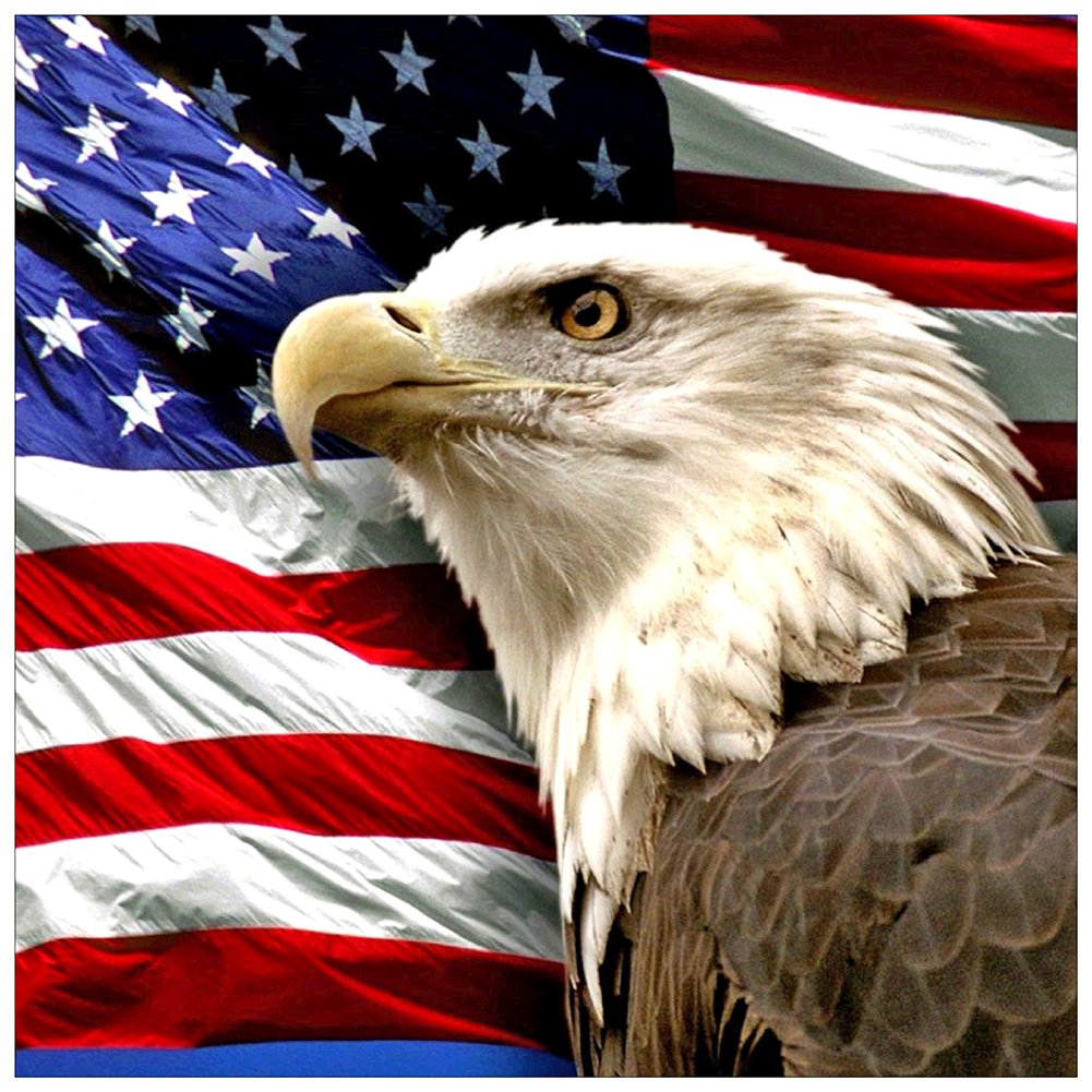 5D Diy Diamond Painting Kit Full Round Beads Eagle (40*40cm)