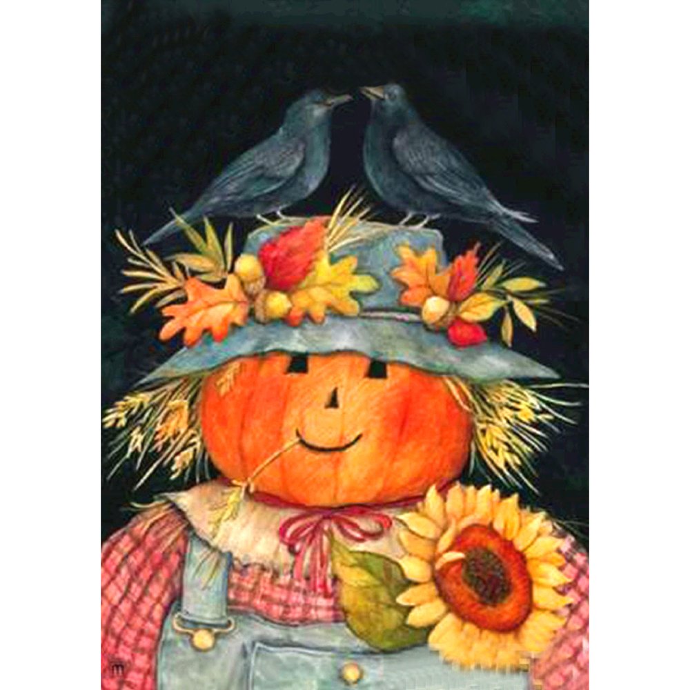 5D Diy Diamond Painting Kit Full Round Beads Scarecrow