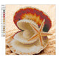 Diamond Painting - Partial Round - Shell