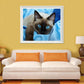 5D DIY Diamond Painting Kit - Full Round - Blue Eye Cat
