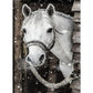 5D Diy Diamond Painting Kit Full Round Beads Horse