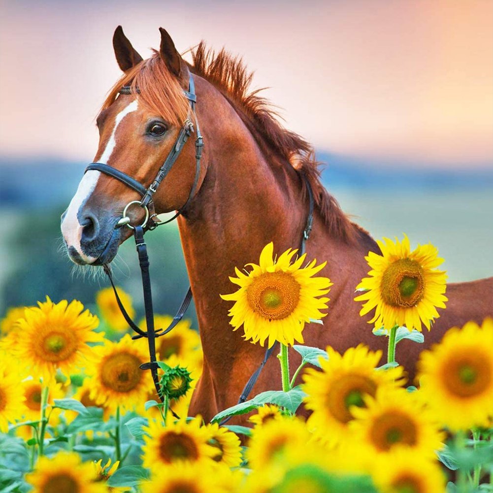 Diamond Painting - Full Round - Sunflower Horse A