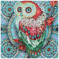 Diamond Paintings Art Full Drill Owl