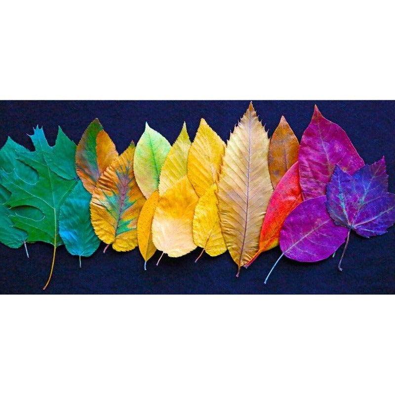 Leaves Full Round Square Diamond Painting Kits 40 x 70cm 50 x 80cm