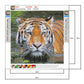 Diamond Painting - Full Round - Tiger D