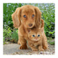 Diamond Painting - Full Round - Dog Cat