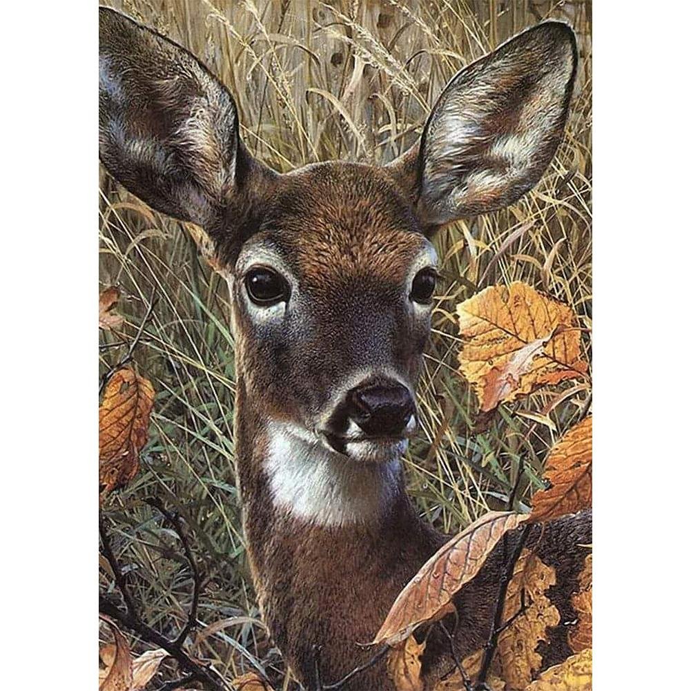 5D Diy Diamond Painting Kit Full Round Beads Forest Deer