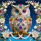DIY Pearl Painting With Frame - Handmade Self-Adhesive Pearls - Owl (25*25cm) A