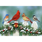 5D Diy Diamond Painting Kit Full Round Beads Happy Birds