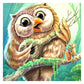 5D Diy Diamond Beads Art Full Square Resin Musician Owl