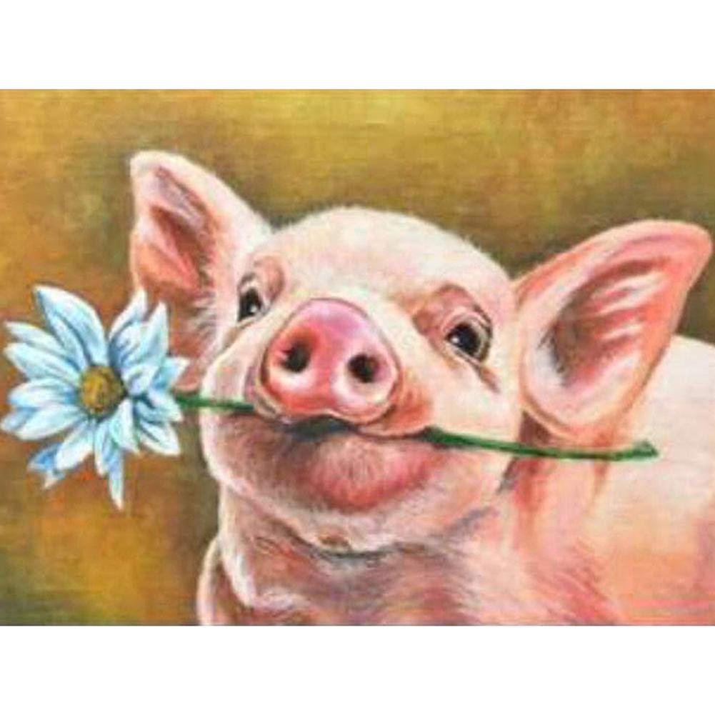 5D Diy Diamond Painting Kit Full Round Beads Pig