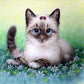 Diamond Painting - Partial Round - Grey Cat