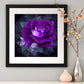 Diamond Painting kit - Partial Round - Purple Rose