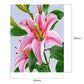 Special Flower 40x50cm Oil Paint By Numbers Picture DIY Painting