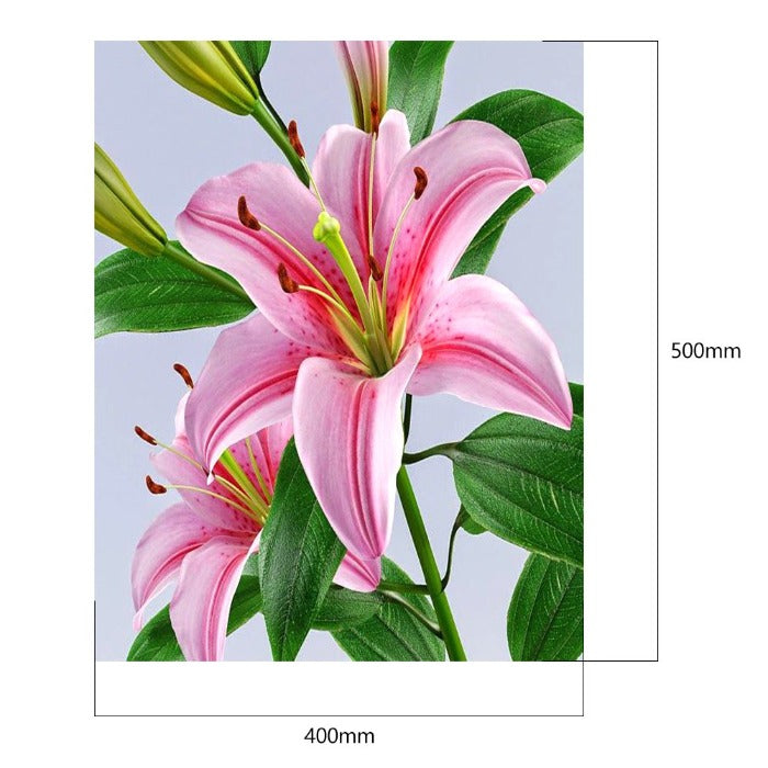 Special Flower 40x50cm Oil Paint By Numbers Picture DIY Painting