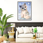 Diamond Painting - Full Round - White Fox