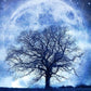 5D Diamond Painting Kit - Full Round - Moon Tree