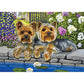 5D Diy Diamond Painting Kit Full Round Beads Flower Dogs