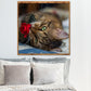 Diamond Painting - Full Round - Lovely Cat B