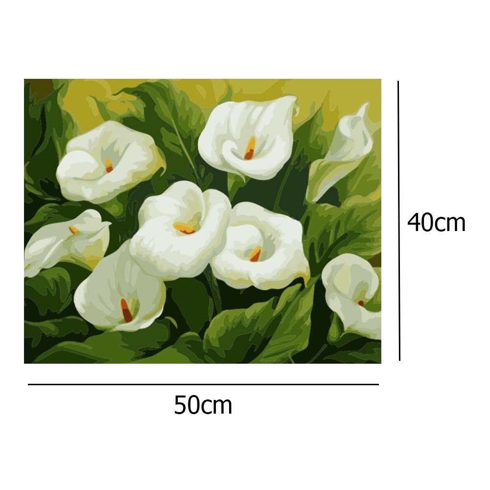 Paint By Number - Oil Painting - Flower (40*50cm)