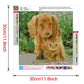 Diamond Painting - Full Round - Dog Cat