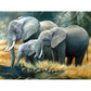5D Diy Diamond Painting Kit Full Round Beads Drinking Elephant Family