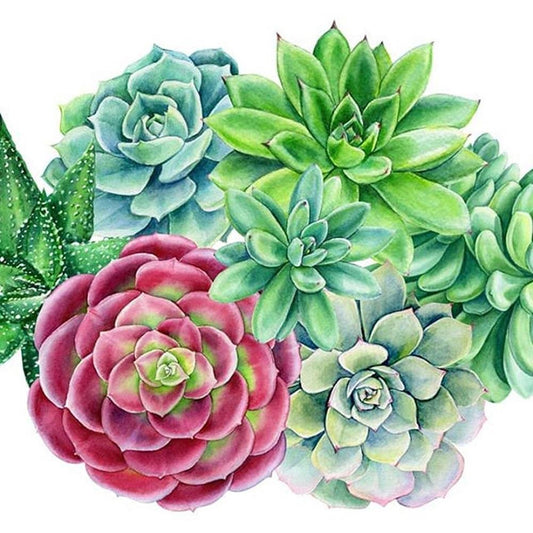 Diamond Painting - Full Round - Succulent Plants
