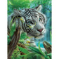 5D Diy Diamond Painting Kit Full Round Beads Bengal Tiger