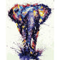 Paint By Number Oil Painting Walking Elephant (40*50cm)
