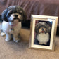 Custom Cross Stitch Kits 11CT