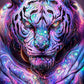 Full Round/Square Diamond Painting Kits | Monster 40x50cm 50x70cm J