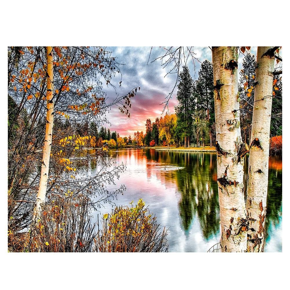 Diamond Painting Partial Round Forest Landscape