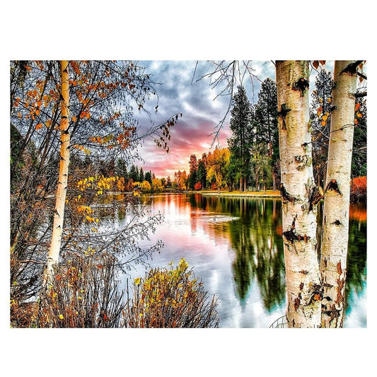 Diamond Painting Partial Round Forest Landscape