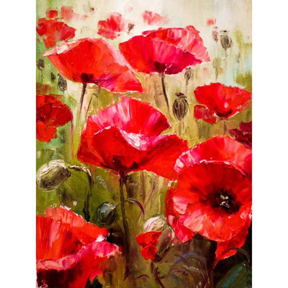 Diamond Paintings Art Full Drill Poppy Flower