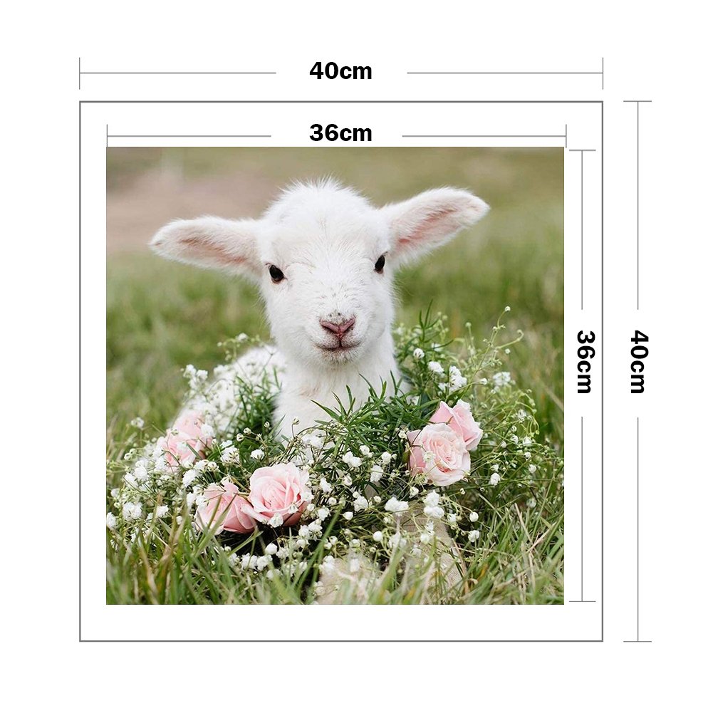 11ct Stamped Cross Stitch - Lamb (40*40cm)