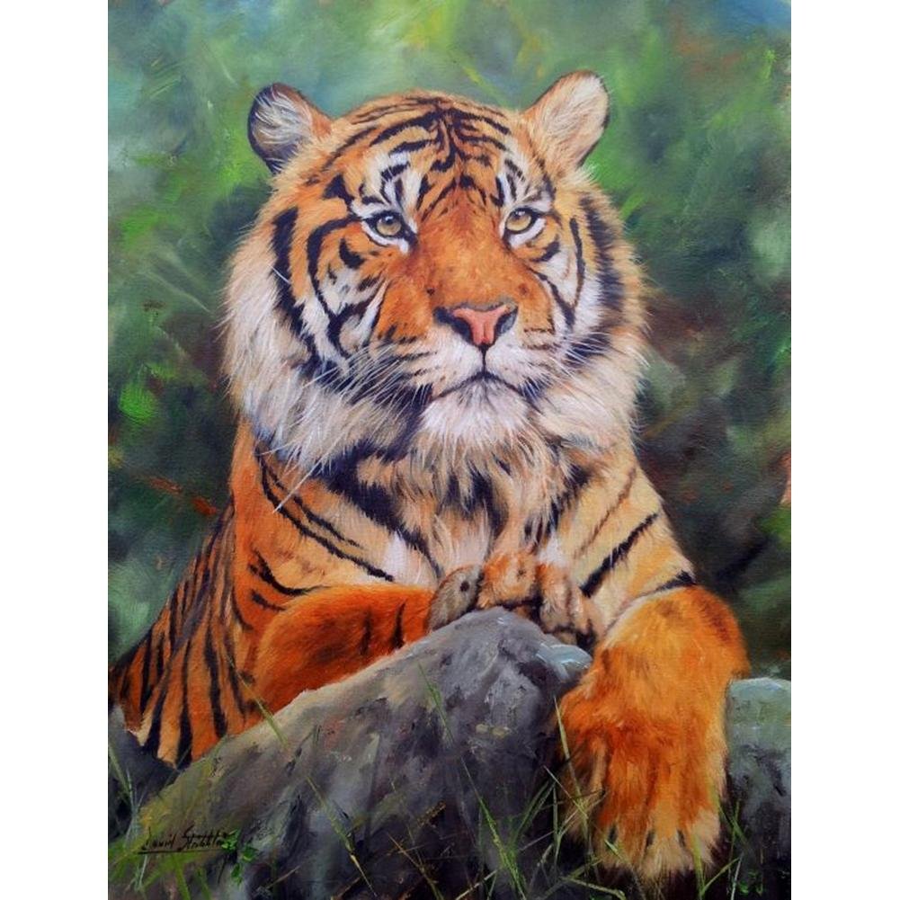 5D Diy Diamond Painting Kit Full Round Beads Tiger
