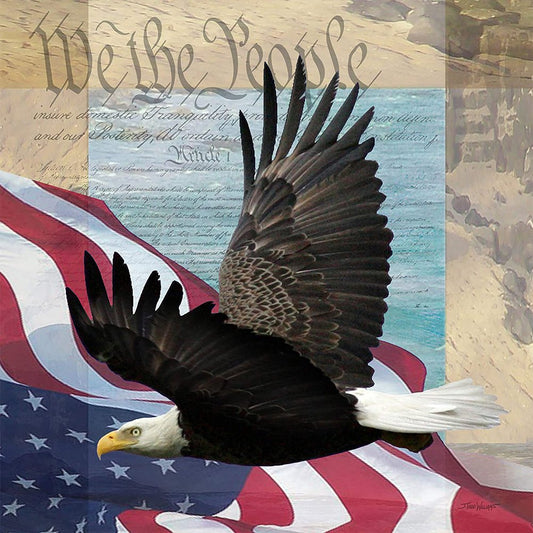 Diamond Painting - Full Round - Eagle B