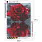 Diamond Painting - Full Round - Red Rose 3
